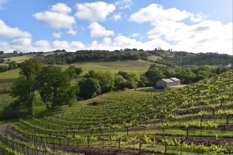  christopher creek winery sonoma county
