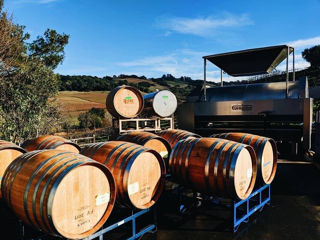 The Barrel Tasting Experience and What to Expect